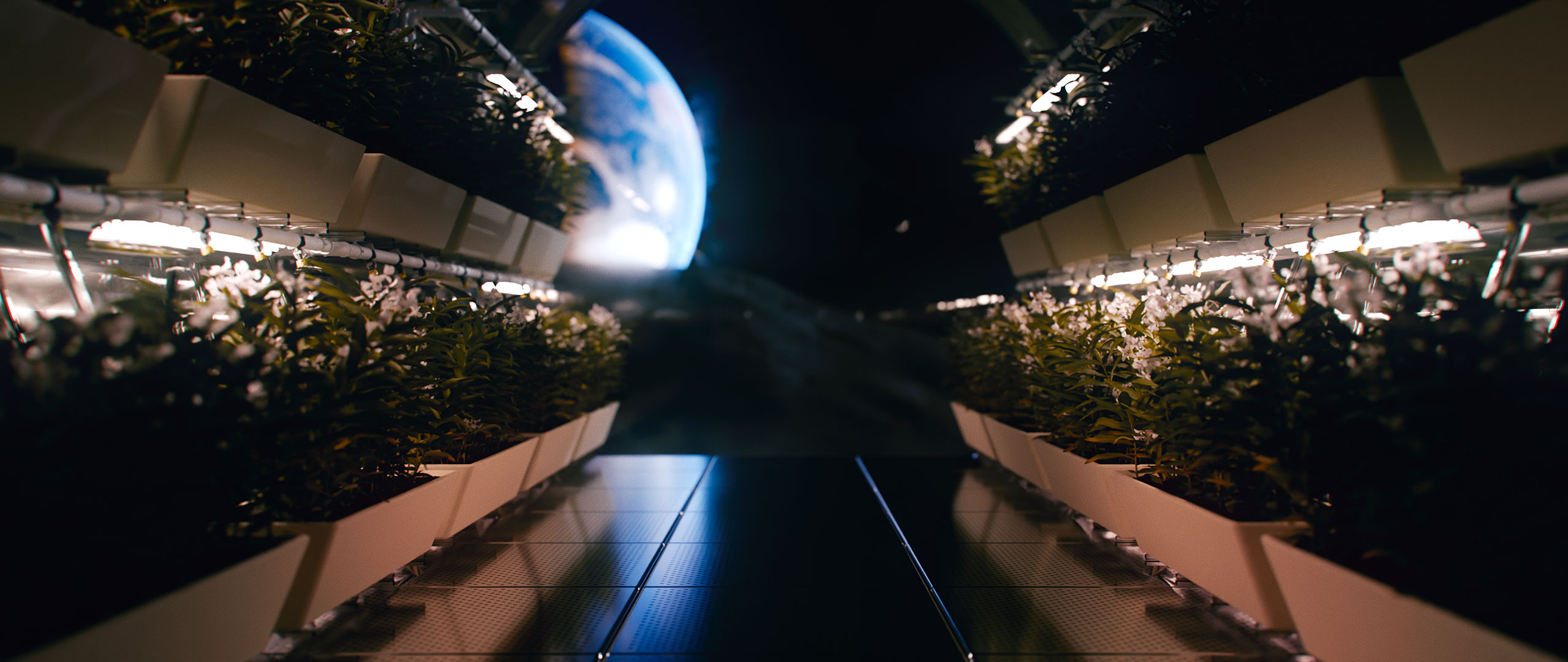 A picture of a lunar greenhouse in the darkness.